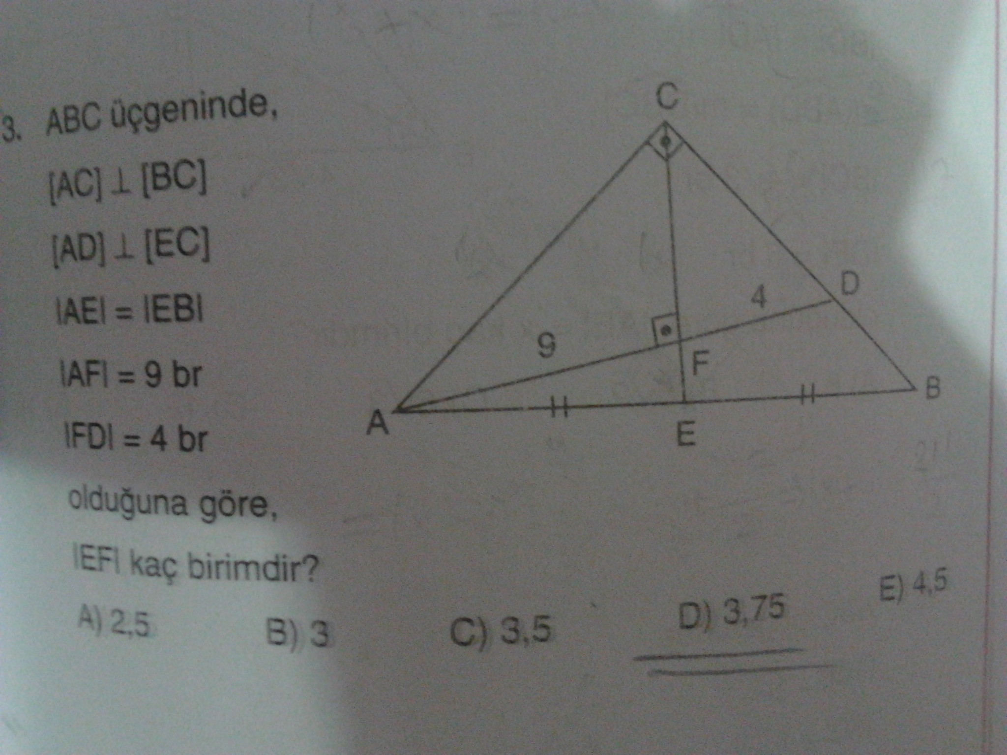  Dik üçgen sorularım