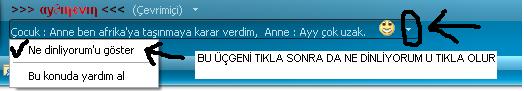  Msn & Winamp ile ilgili bir soru