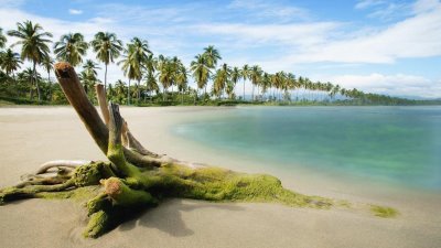  Windows 7'ye Dreamscene Kurulumu ve Tüm Dreamscene Videoları
