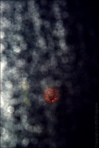  Bokeh Nedir, İyi bokeh-Kötü Bokeh Nasıl Olur, Bokehi Ne Oluşturur?
