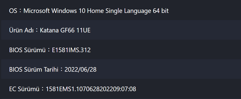 Samsung SSD 980 PRO firmware update sorunu