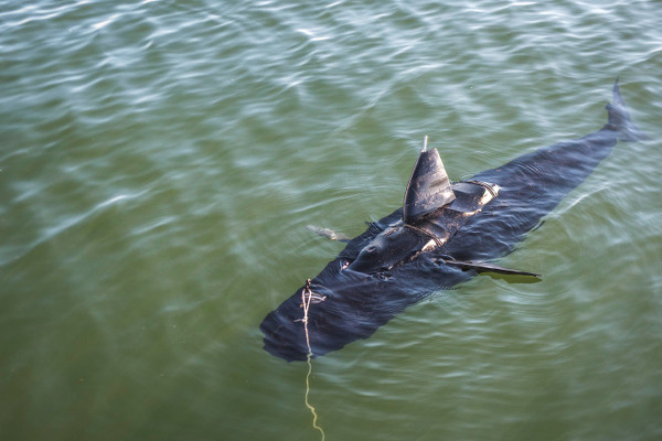 ABD Deniz Kuvvetleri köpekbalığı şeklinde insansız deniz araçları geliştiriyor