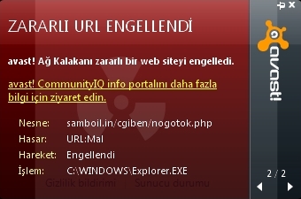 Internet Explorer virüsü