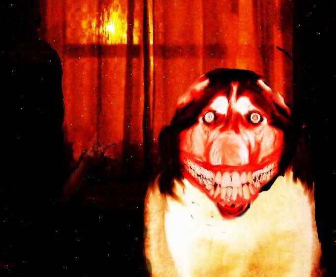BEYLER SMILE DOG NEDİR