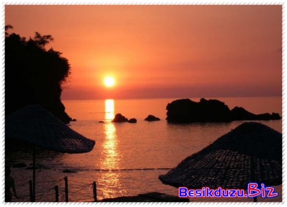  //---- DH DOĞU KARADENİZLİLER BÖLÜMÜ---- //