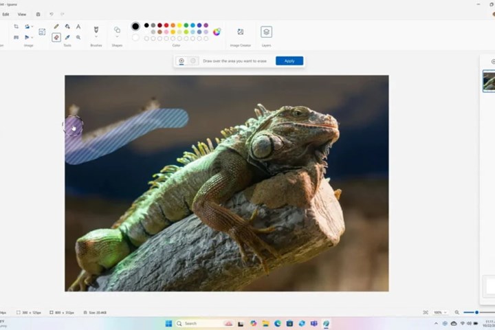 Paint'e Photoshop benzeri yapay zeka destekli doldurma ve silme özellikleri geliyor