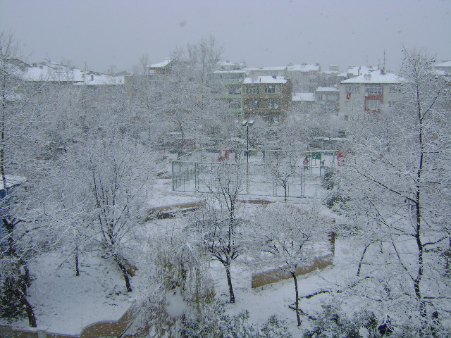  Yalova ya yerleşmeyi  düşünüyorum