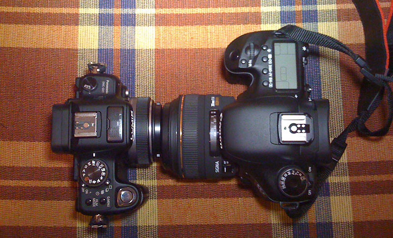  Canon 7D vs Canon 600D vs Panasonic GH1(2) fotoğraflı boyut karşılarştırması