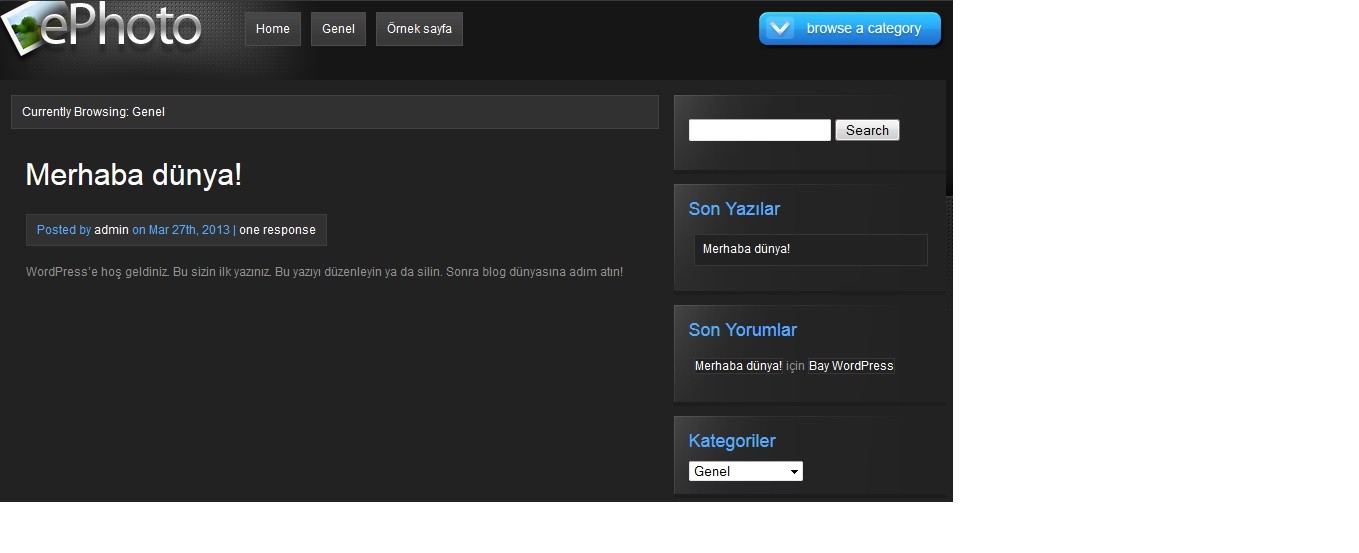  Wordpress Sorusu Yardım