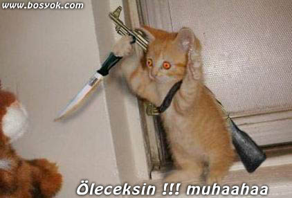  FAKE RESİMLER