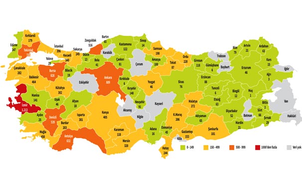  Kadına Şiddetin En Çok Olduğu İllerin Haritası