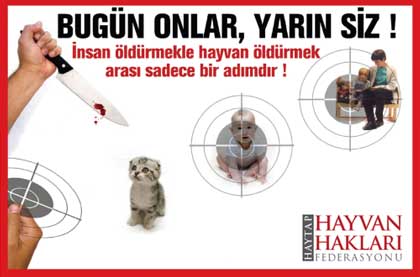  SOKAK KÖPEKLERİNİ NASIL YOK EDEBİLİRİZ?