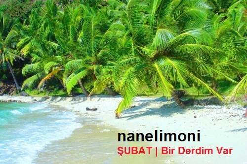  27.DH ŞARKI YARIŞMASI(kazanan Gokalp.)