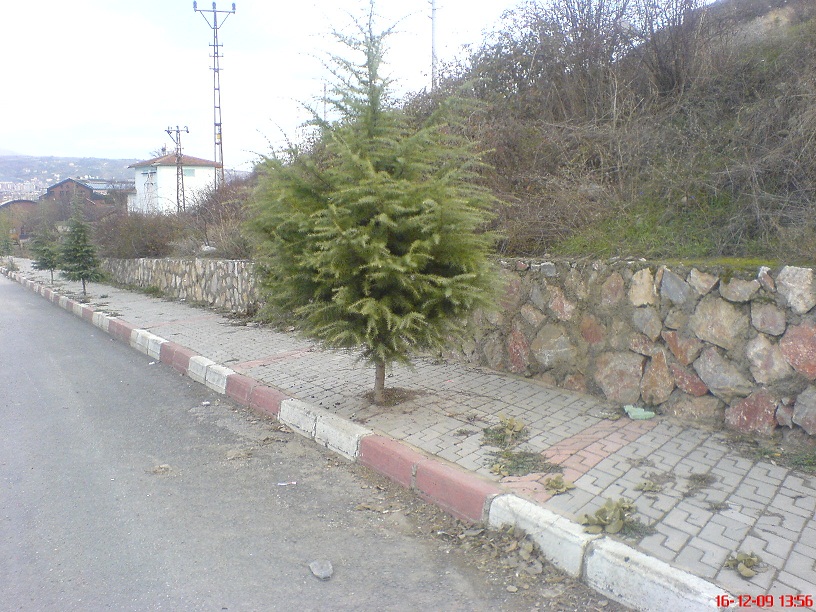  Bunlar sadece Türkiye'de olur dedirten fotoğraflar