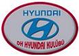  HYUNDAİ LOGOSU ( LOGOMUZ YAPILMIŞTIR)