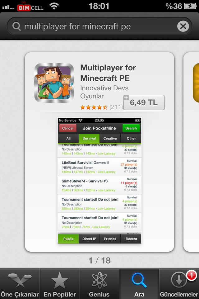 Minecraft P.E alınır mı