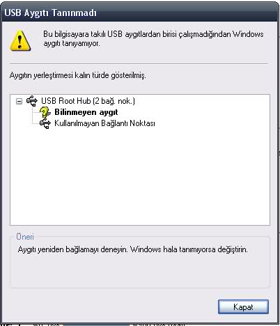  Flash Disk'i Kurtarmanın bi yolu yok mu?