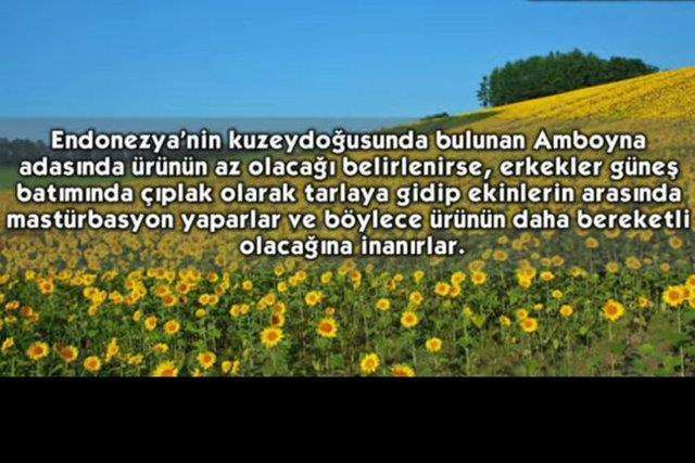  işte bunlar hep cehalet