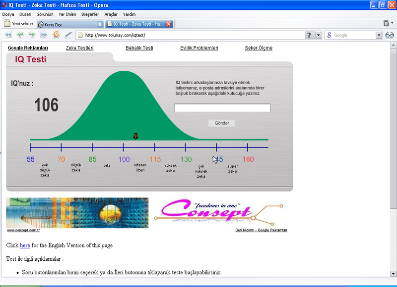  IQ Testi