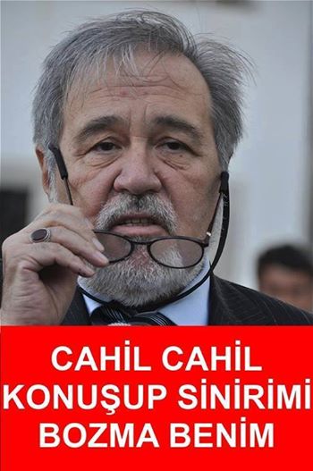  İlber Ortaylı'nın bildiği diller [GELİN BEYLER]