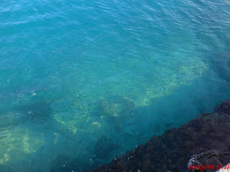  ===>3,2MPLİ k770/K790/K810/C510/P1 FOTOĞRAF PAYLAŞIM ARENASI<===