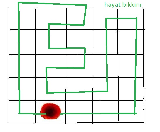  Einstein bu soruyu 24 saatde çözmüş//[yeni soru] 13:54